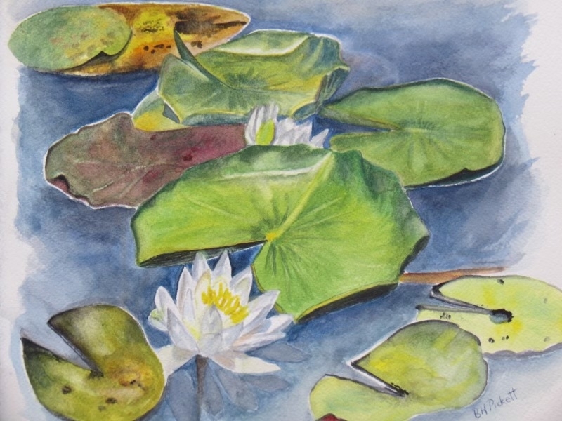 Lilypad Garden