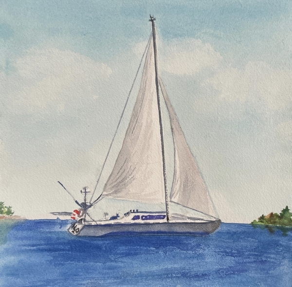 Sailboat H20